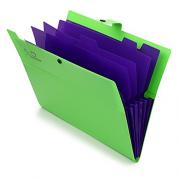 IGNPION Polyfile A4-Cartellina con chiusura a bottone, Busta Portadocumenti A4, Cartella Progetti (5 Tasche) (Verde)